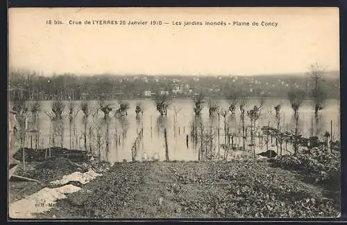 AK Yerres, Crue de 1910, Les jardins inondés, Plaine de Concy