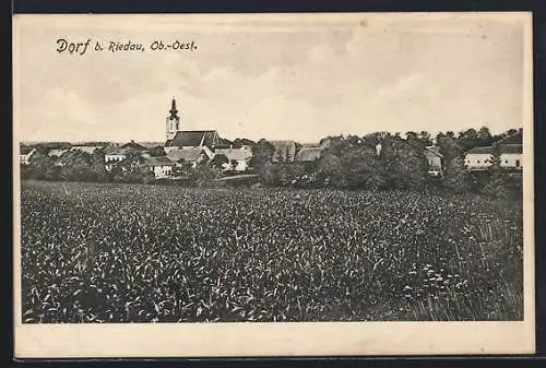 AK Dorf b. Riedau, Blick über Felder auf den Ort