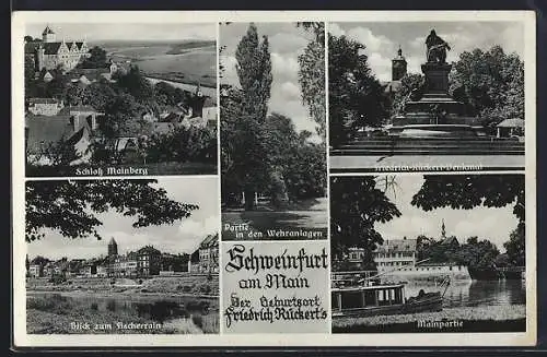 AK Schweinfurt am Main, Schloss Mainberg, Blick zum Fischerrain, Mainpartie, Friedrich Rückert-Denkmal