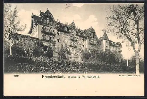 AK Freudenstadt, Blick zum Hotel Palmenwald