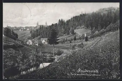 AK Freudenstadt, Partie aus dem Christophstal