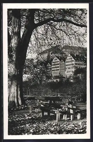 AK Tübingen, Blick von der Platenenalle zum Schloss