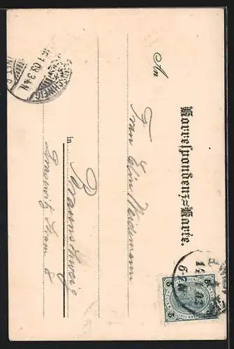 AK Wien, Stephansdom, Wappen der Stadt