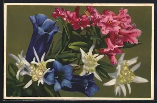 Künstler-AK Photochromie Nr. 2037: Blüten Oleander und Edelweiss