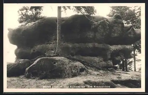 AK Jonsdorf, Das Krokodil auf dem Nonnenfelsen, Gesteinsformation