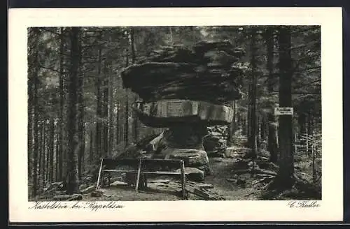 AK Rippoldsau, Der Kastelstein