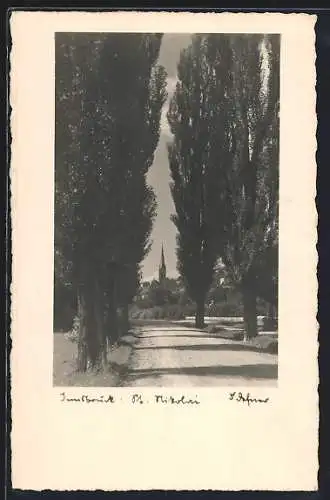 Foto-AK Adalbert Defner: Innsbruck, Blick auf St. Nikolei