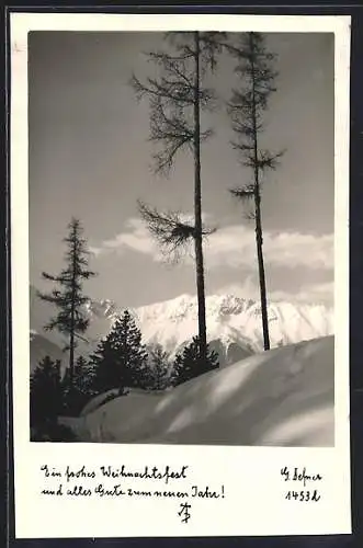 Foto-AK Adalbert Defner: Winterlich verschneite Alpen als Weihnachtsgruss