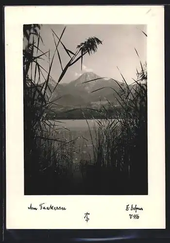 Foto-AK Adalbert Defner: Am Faakersee, Landschaft