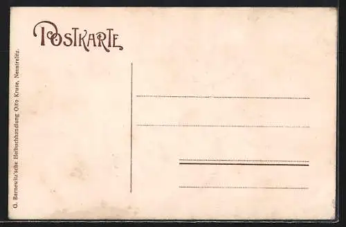 AK Neustrelitz, Markt mit Stadtkirche