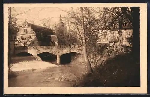 AK Michelstadt i. Odw., Schlossbrücke mit Schloss Fürstenau