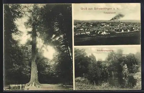 AK Schwenningen a. N., Totalansicht, Neckarursprung, Hölzlekönig