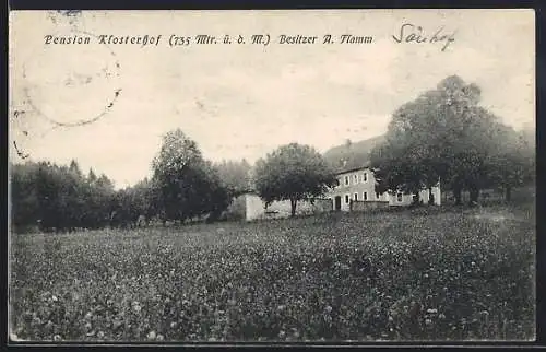 AK Niedereschach, Pension Klosterhof