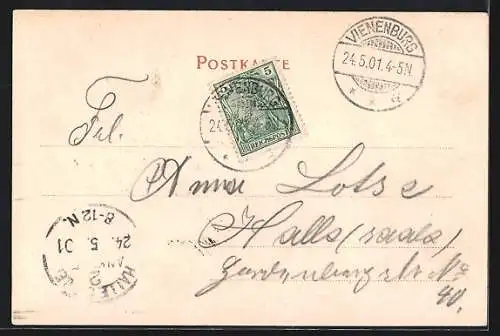 AK Vienenburg a. H., Ortspartie mit Schloss