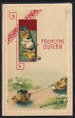 Präge-AK Osterküken beim Tauziehen, Ostergruss