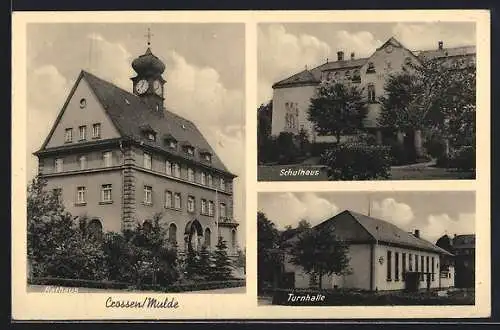 AK Crossen /Mulde, Schulhaus, Turnhalle, Rathaus