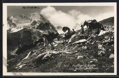 AK Arolla, Les mulets de la Poste, Pigne d`Arolla