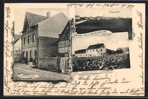 AK Ebersheim, Epicerie Kempf, Tabakfabrik und Totalansicht