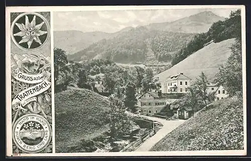 AK Trattenbach, Ortsansicht mit Volksschule und Berglandschaft, Edelweiss und Wanderausrüstung