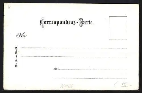 Lithographie Gmunden, A. Deiningers Hotel & Dependancen zum goldenen Schiff