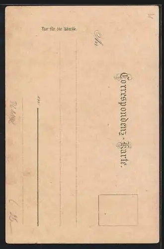Lithographie Gmunden, Mädchenpensionat und Blick vom Grünberg