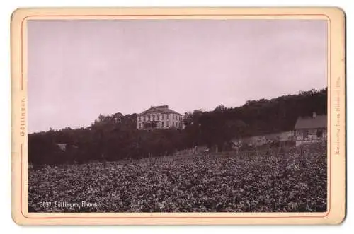 Fotografie autz, Darmstadt, Ansicht Göttingen, Blick nach der Villa Rhons