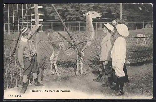 AK Genève, Au Parc de l`Ariana