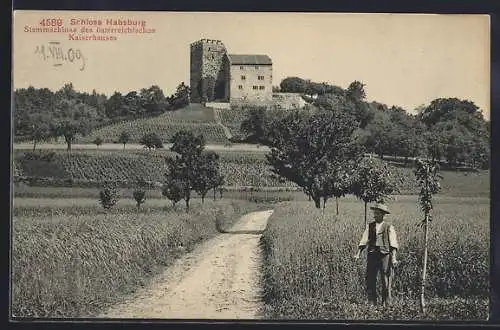 AK Schloss Habsburg, Ortsansicht mit Feldweg und Bauer