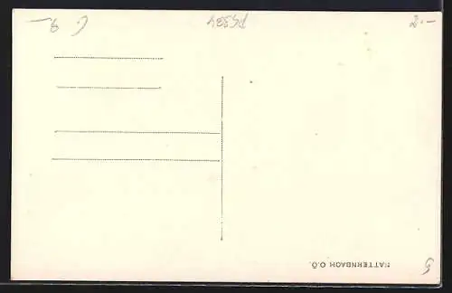 AK Natternbach /O. Ö., Strassenpartie mit Kirche