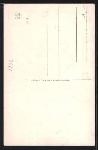 Künstler-AK Sigmaringen, Relief-Ansicht von oberen Donautal