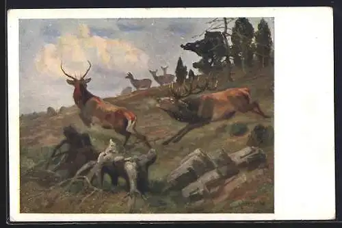 Künstler-AK Kapitaler Hirsch verjagt einen jungen Herausforderer