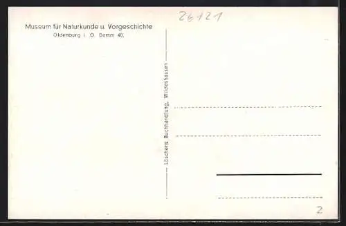 AK Kleinenkneten b. Wildeshausen, Freigelegte Grabkammer (ca. 2500 v. Chr.), Ausgrabung