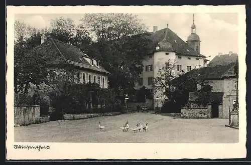 AK Wiesentheid, Gänse auf der Strasse unterwegs