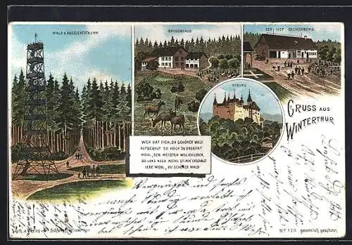 Lithographie Winterthur, Wald am Aussichtsturm, Bruderhaus, Hof Eschenberg und Kyburg