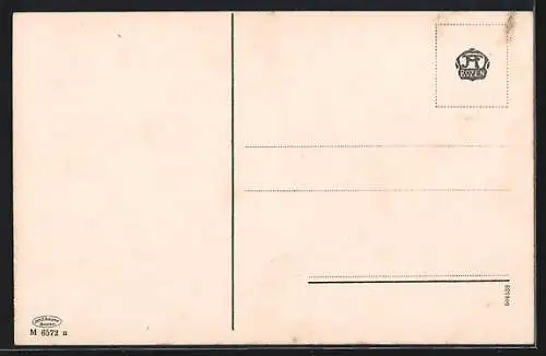 AK Meran, Brunnenburg und Schloss