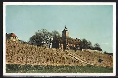 AK Volkach / Main, Am Schloss Halburg