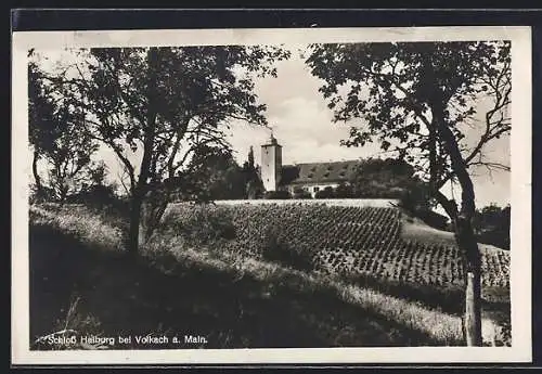 AK Volkach, Blick auf Schloss Halburg