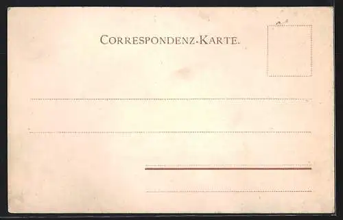 Lithographie Meran, Teilansicht mit Blick über die Dächer