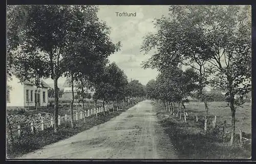 AK Toftlund, Blick in die neu angelegte Allee