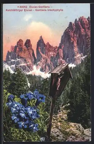 AK Kurzblättriger Enzian vor einem Flurkreuz