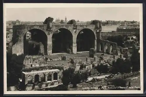 AK Roma, Foro Romano, Tempio della Pace