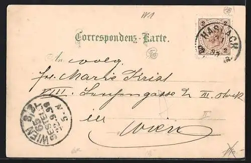 Lithographie Wien, Blick auf den Stephansdom