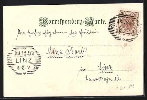 Lithographie Wien, Partie am Stefansdom