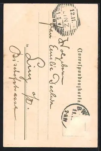 Lithographie Wien, Der Stefansdom, Turm und Detail vom Dach