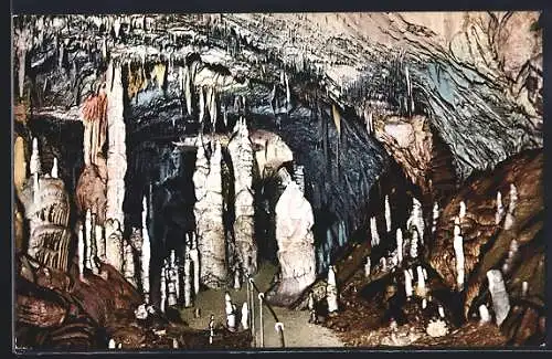 AK Grotte Demaniali di Postumia, la Grotta del Paradiso