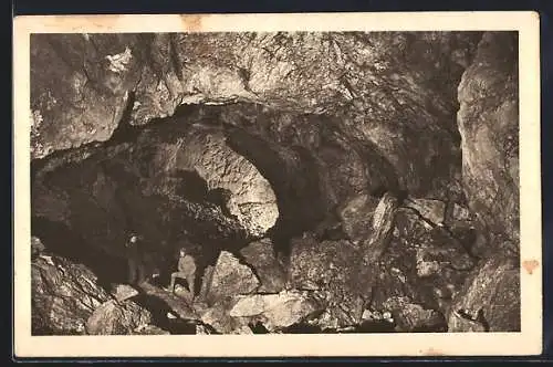 AK Tennengebirge /Salzburg, Eisriesenwelt-Höhle, Teilungshalle