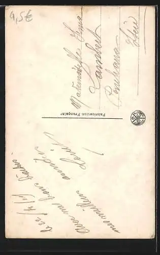 Foto-AK A. Noyer Nr. 2678: Junge Frau mit einem Palmblatt