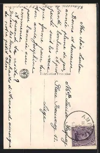 Foto-AK A. Noyer Nr. 3517: Junge Frau im Pelzmantel, Neujahrsgruss