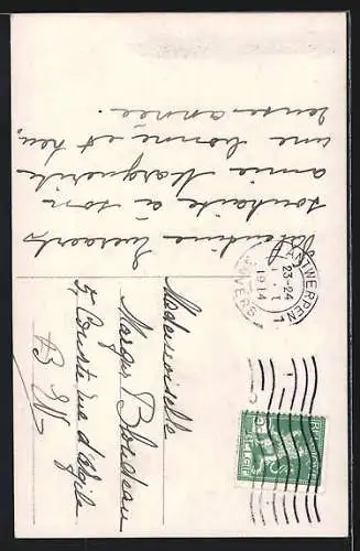 Foto-AK A. Noyer Nr. 1464: Junges Mädchen mit Zweigen, Neujahrsgruss