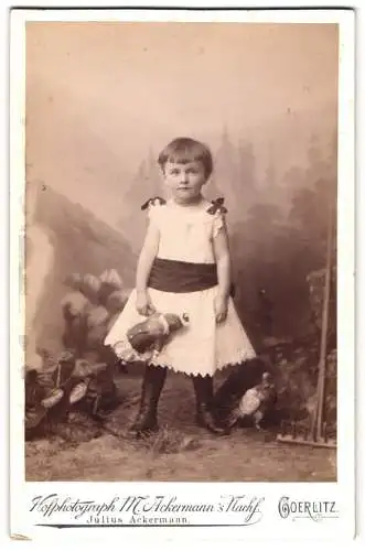 Fotografie M. Ackermann`s Nachf., Görlitz, Schützen-Strasse 2, Kind mit Puppe in natürlicher Kulisse